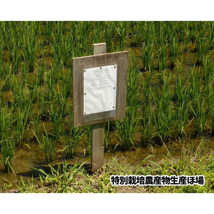 【令和5年産】 山形県米沢産 つや姫 白米 5kg 完全無農薬（農薬不使用 化学肥料不使用）上杉藉田米｜minorinokai｜02