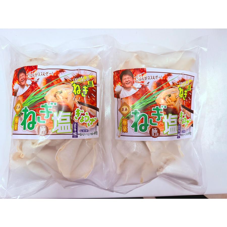 ねぎ感がほとばしる！東金極楽ねぎ塩ぎょうざ　20個入り×2袋セット | 