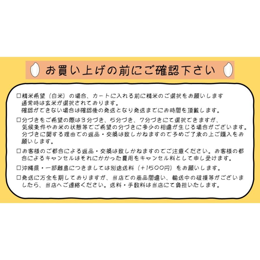 令和5年産 秋田県産あきたこまち ３０ｋｇ 玄米 うまい米 米専門 みのりや   送料無料｜minoriya777｜10