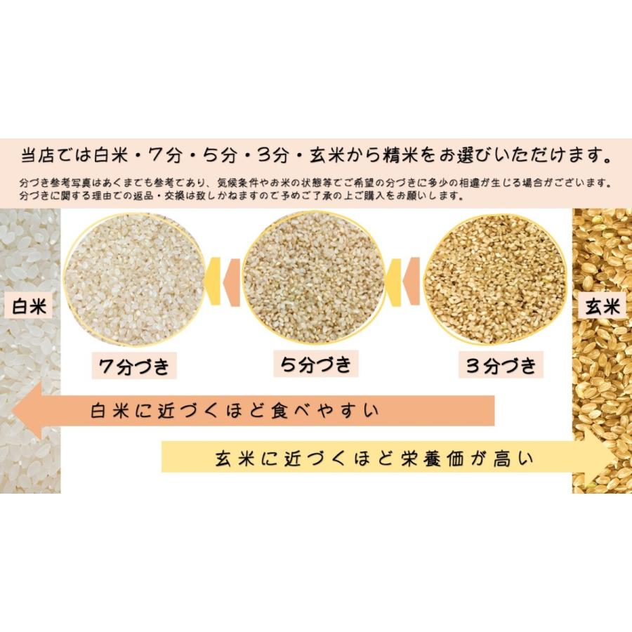 令和5年産 秋田県産あきたこまち ３０ｋｇ 玄米 うまい米 米専門 みのりや   送料無料｜minoriya777｜07