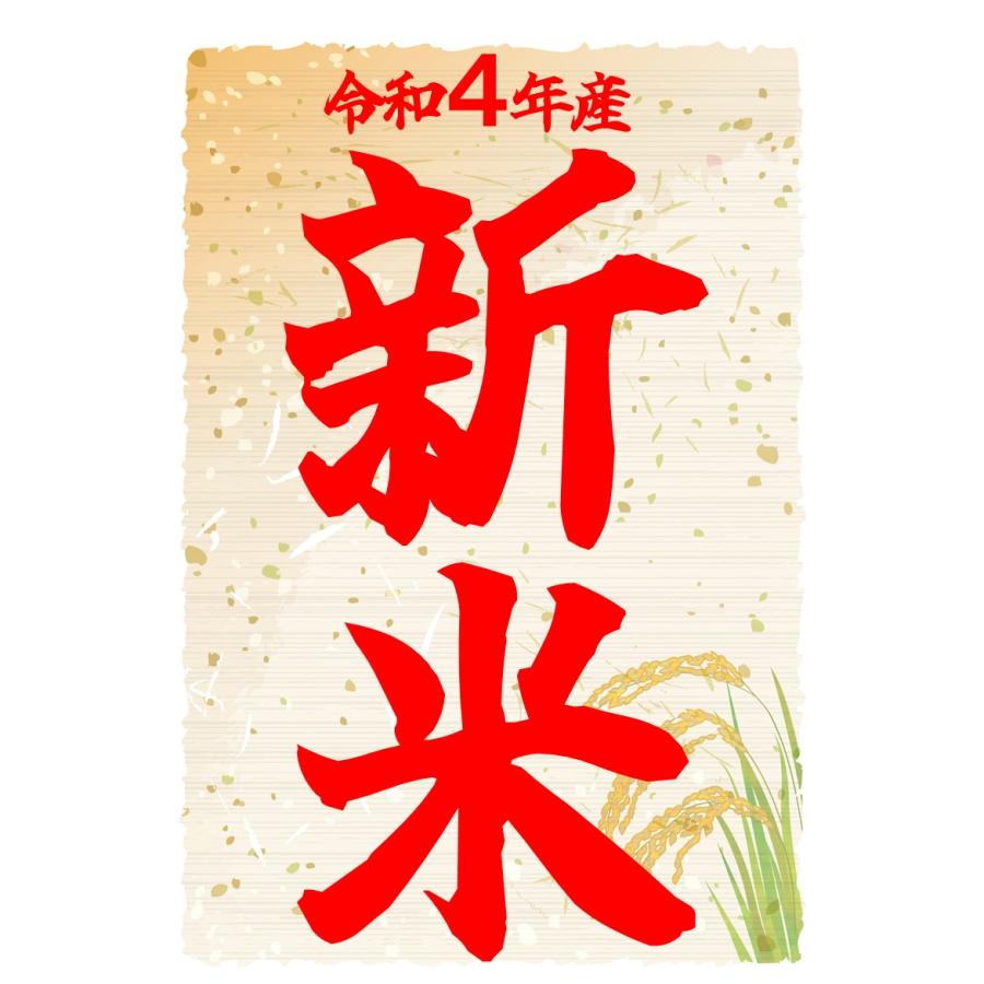 送込‼︎令和4年新米‼︎福島産コシヒカリ玄米30kg⑤ LWJWVK4SaY