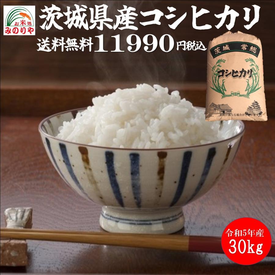 令和３年産 茨城県産 コシヒカリ 玄米30kgうまい米 米専門 みのりや ポイント消化 送料無料  :ibarakisan-01:うまい米!米専門みのりや - 通販 - Yahoo!ショッピング