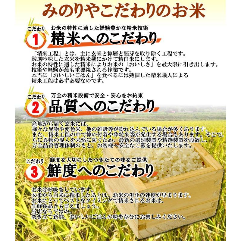 新米 令和4年産 新潟県産 コシヒカリ 玄米30kg うまい米 米専門 みのりや ポイント消化 送料無料 :N-0030:うまい米!米専門