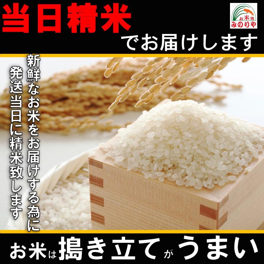 令和5年産 新潟県産コシヒカリ10kg  うまい米 米専門 みのりや（玄米）ポイント消化 送料無料｜minoriya777｜03