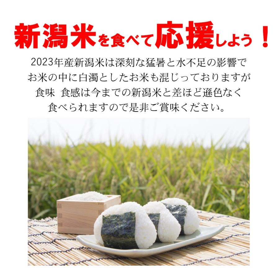 令和5年産 新潟県産コシヒカリ10kg  うまい米 米専門 みのりや（玄米）ポイント消化 送料無料｜minoriya777｜02