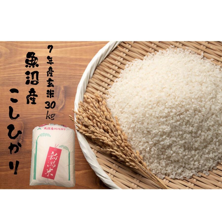 令和7年産 新潟魚沼産 コシヒカリ 30kg  うまい米 米専門 みのりや　 ポイント消化 送料無料 | コシヒカリ