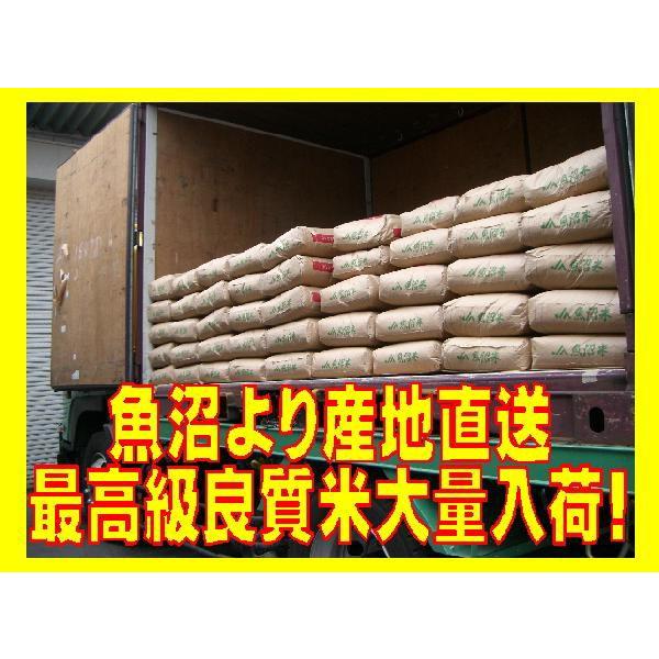 令和7年産 新潟魚沼産 コシヒカリ 30kg  うまい米 米専門 みのりや　 ポイント消化 送料無料 | コシヒカリ | 10