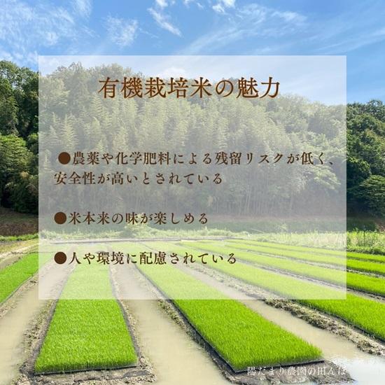 パックごはん 有機栽培米 令和7年産新米 国産米  5個セット 無農薬 無化学肥料 みどり豊 150g 兵庫県産 オーガニック みのるのごはん  みのる産業 備蓄  保存食 |  | 05
