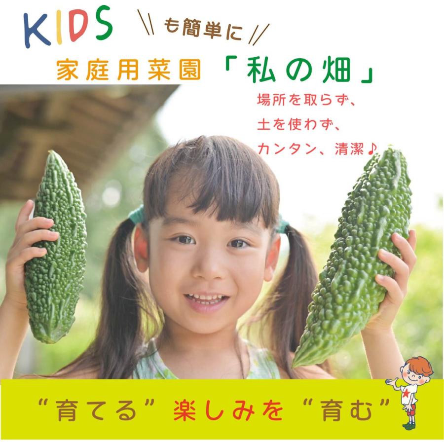 子どもも簡単にできる！ 家庭菜園 水耕栽培 キット 私の畑 ポットタイプ ベランダ菜園  室内 自由研究 送料無料 | みのる産業 | 01