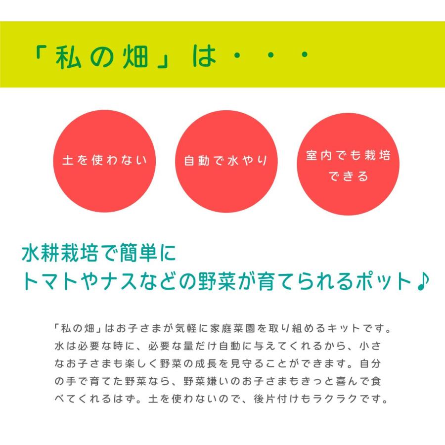子どもも簡単にできる！ 家庭菜園 水耕栽培 キット 私の畑 ポットタイプ ベランダ菜園  室内 自由研究 送料無料 | みのる産業 | 02