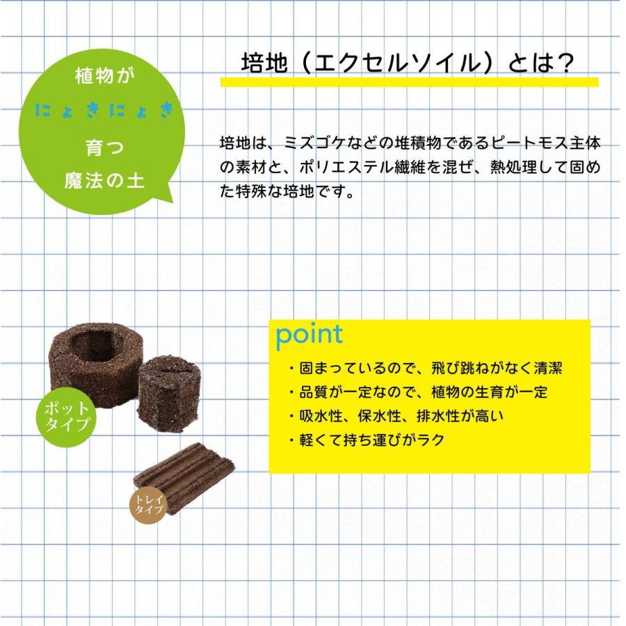 子どもも簡単にできる！ 家庭菜園 水耕栽培 キット 私の畑 ポットタイプ ベランダ菜園  室内 自由研究 送料無料 | みのる産業 | 05