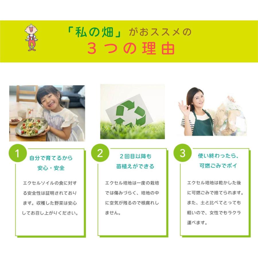子どもも簡単にできる！ 家庭菜園 水耕栽培 キット 私の畑 ポットタイプ ベランダ菜園  室内 自由研究 送料無料 | みのる産業 | 06