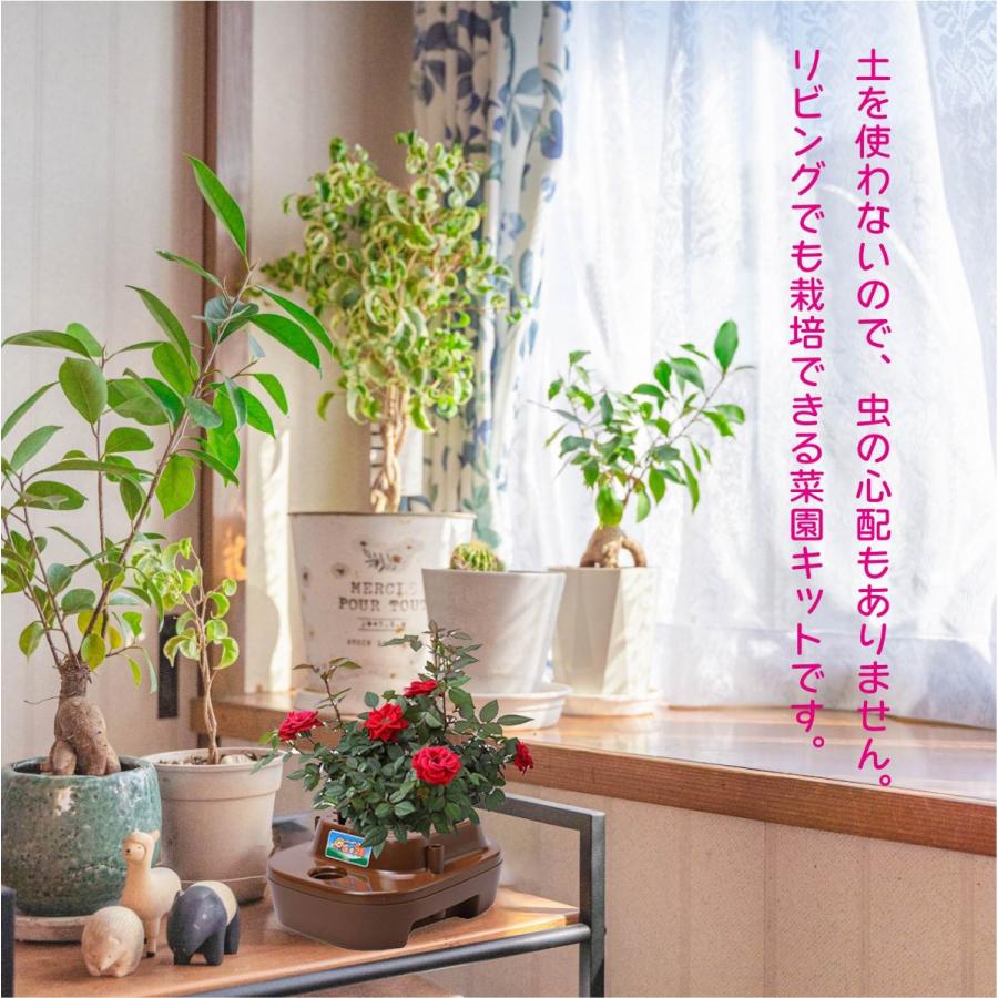子どもも簡単にできる！ 家庭菜園 水耕栽培 キット 私の畑 ポットタイプ ベランダ菜園  室内 自由研究 送料無料 | みのる産業 | 07