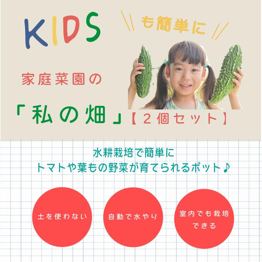 子どもも簡単にできる！家庭菜園キット 私の畑 ２個セット 水耕栽培 キット トレイタイプ ポットタイプ ベランダ菜園  自由研究 室内 送料無料 ハイポニカ肥料付 | みのる産業 | 01