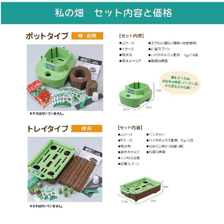 子どもも簡単にできる！家庭菜園キット 私の畑 ２個セット 水耕栽培 キット トレイタイプ ポットタイプ ベランダ菜園  自由研究 室内 送料無料 ハイポニカ肥料付 | みのる産業 | 04