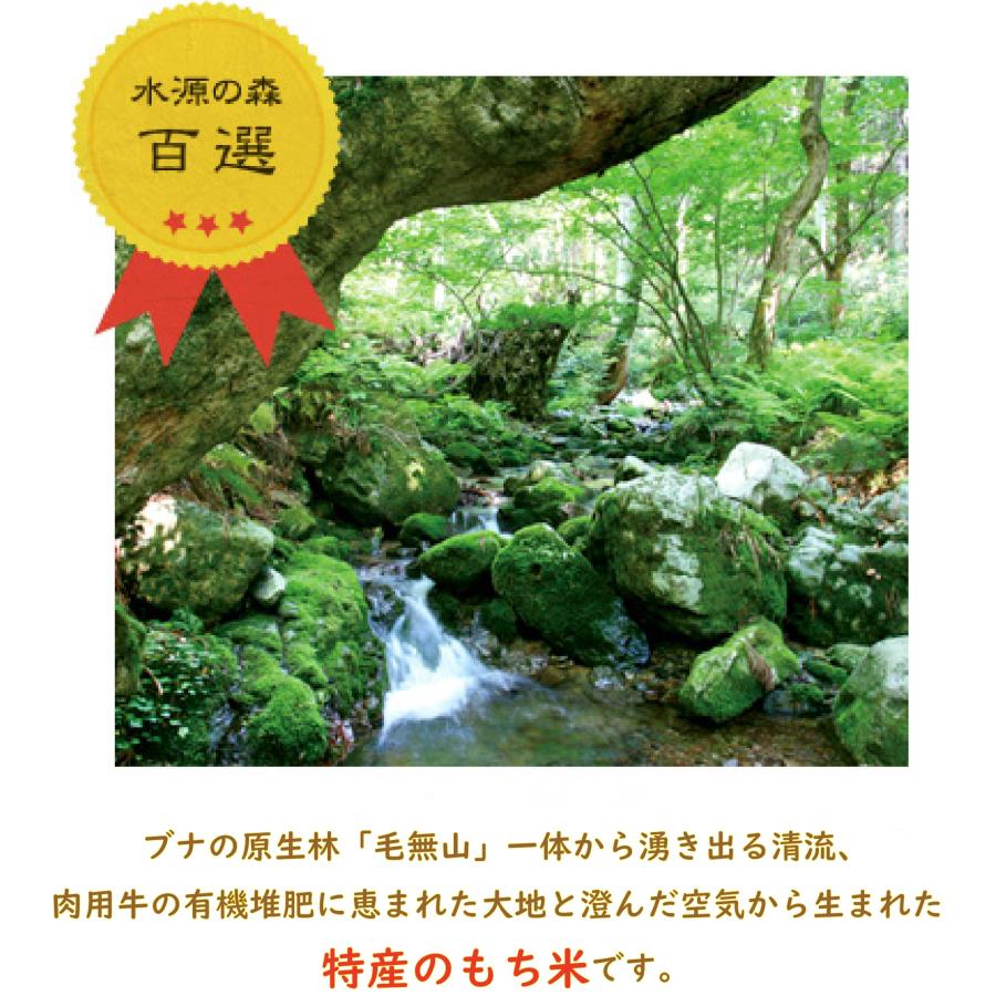送料無料 令和8年産 もち米 3合×5袋 2.25kg ひめのもち ヒメノモチ