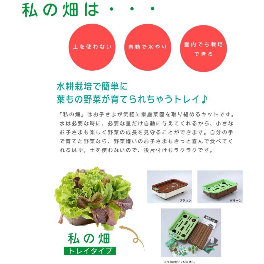 子どもも簡単にできる！家庭菜園 水耕栽培 キット 私の畑  トレイタイプ ベランダ菜園  自由研究 室内 送料無料 | みのる産業 | 02