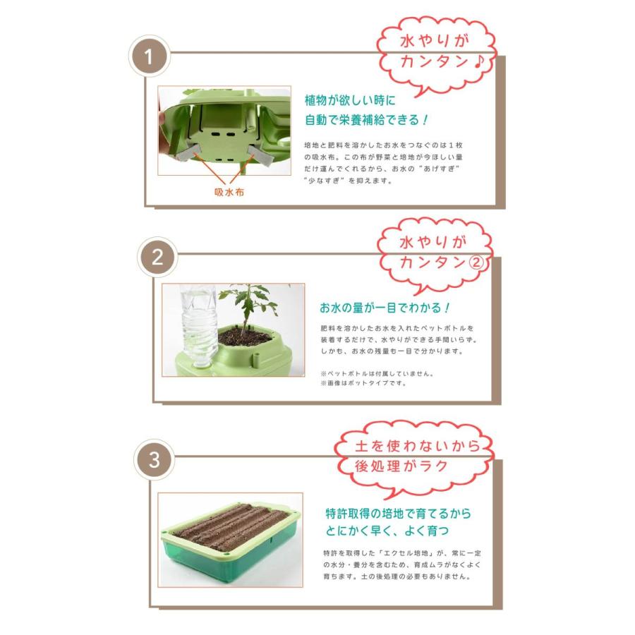 子どもも簡単にできる！家庭菜園 水耕栽培 キット 私の畑  トレイタイプ ベランダ菜園  自由研究 室内 送料無料 | みのる産業 | 03