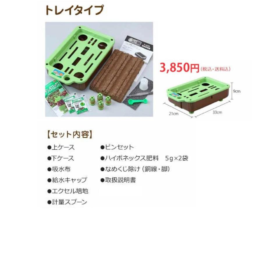 子どもも簡単にできる！家庭菜園 水耕栽培 キット 私の畑  トレイタイプ ベランダ菜園  自由研究 室内 送料無料 | みのる産業 | 06
