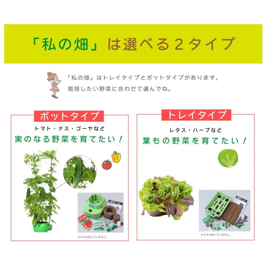 子どもも簡単にできる！家庭菜園 水耕栽培 キット 私の畑  トレイタイプ ベランダ菜園  自由研究 室内 送料無料 | みのる産業 | 08