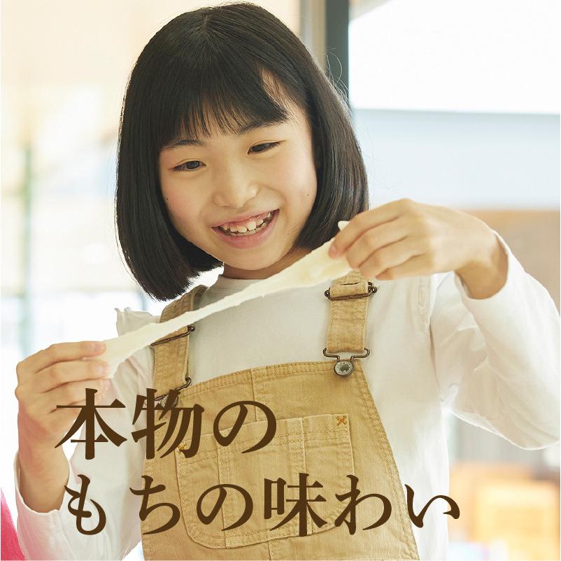 みのる つや姫 3合 コンパクト餅つき機  HS-036 [ワインレッド] みのる産業 国産 送料無料 餅つき機 小型 家庭用 3合 つき姫＋