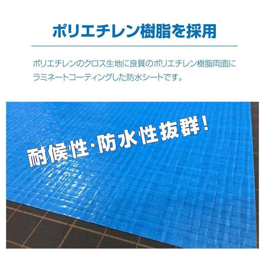 1枚実寸約0 9ｍｘ100ｍ Bs 100 10set 10セット ブルーシート 防水 花見 台風対策 養生 レジャー アウトドア 雨よけ 運動会に Coban Preudelnorte Com