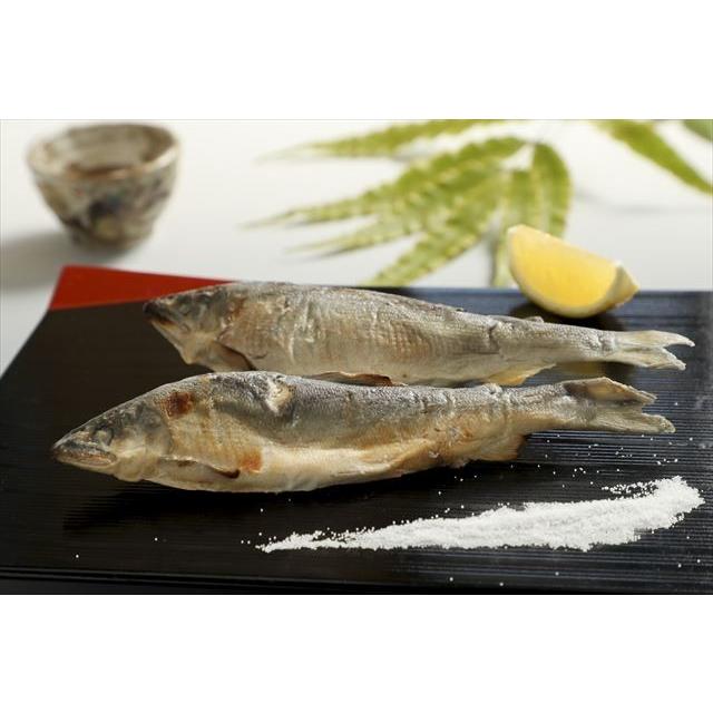 子持ち若鮎【長良乙女】食べきり5種セット(5種類各1尾入り) (有)美濃養魚場 送料無料|minoyougyojyou|03
