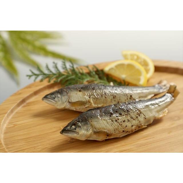 子持ち若鮎【長良乙女】食べきり5種セット(5種類各1尾入り) (有)美濃養魚場 送料無料|minoyougyojyou|06