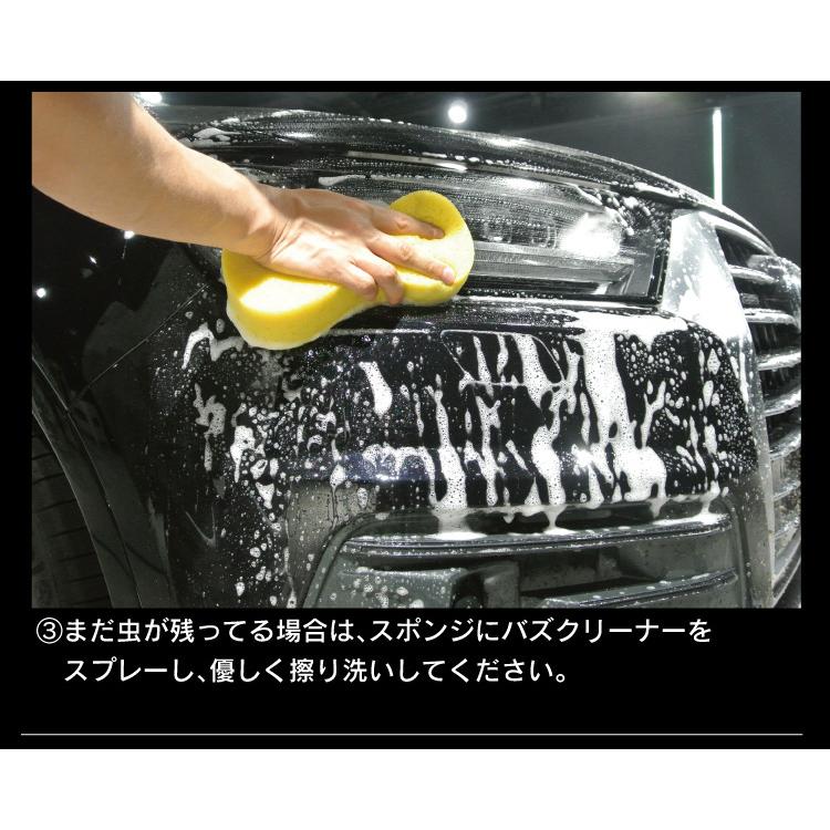 洗車 コーティング フルセット 全11点セット これだけあればプロ並みの