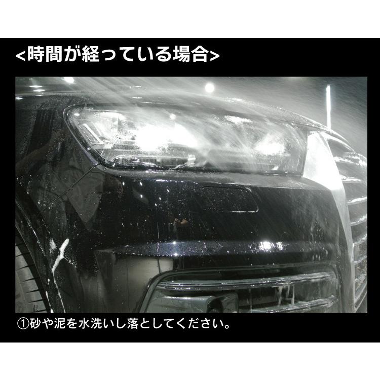 洗車 コーティング フルセット 全11点セット これだけあればプロ並みの