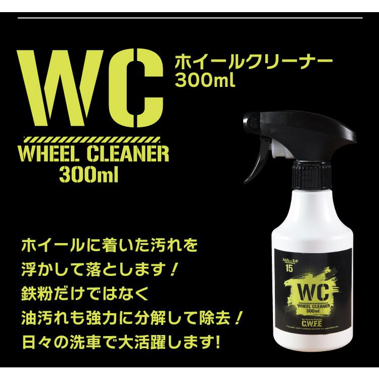 洗車 コーティング フルセット 全11点セット これだけあればプロ並みの