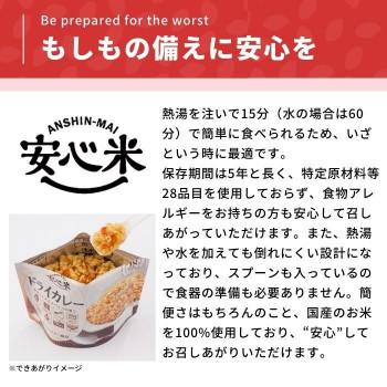 アルファー食品 安心米 ドライカレー 100g ×50袋 11421766_1