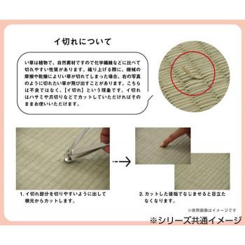 KOBA-GUARD 制菌 抗菌防臭 消臭 い草ラグカーペット 滑り止め加工 約190×190cm グリーン 8480420_7