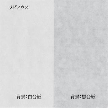 EACHE クラシカル薄型レザーウォッチバンド レディース 本革ウォッチストラップ レディース&メンズ 12mm 14mm 16mm 18mm  20mmカラー, ホワイトシルバーバックル。, 18mm, クラシックスタイル。 【並行輸入品】EACHE クラシカル薄型レザーウォッチバンド  レディース 本革 ...