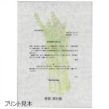 和紙のイシカワ ミズ・グリーティング A3判 50枚入 10袋 WP-1400K-10P_3