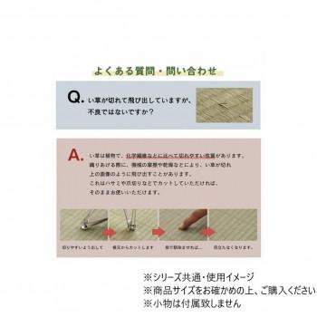 ラグ 正方形 い草 リーフ 抗菌防臭 滑り止め不織布 約191×191cm グリーン 1060710123604_1