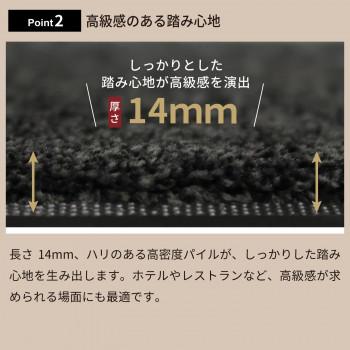 (クリーンテックス) 玄関マット Eco Absorb 90×180cm_2