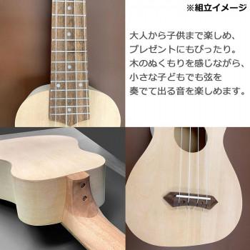 GECKO(ゲッコー)×アーバン通商 ウクレレ 21インチ ソプラノ クラフト(組立セット) UDIY21 NA_4
