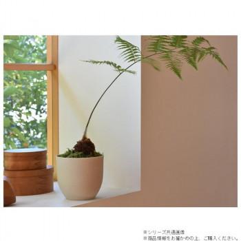 ミュールミル プランター インティ 白 L VHA-011LWh_2