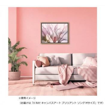 ユーパワー X RAY キャンバスアート「ブリリアント ソング」 Mサイズ XR-12503_3