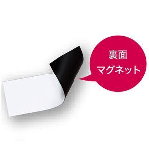 ds-(まとめ) マグエックス マグネットクリーンシート 300×200×0.8mm 白 MSKW-08W 1枚 〔×10セット〕_2