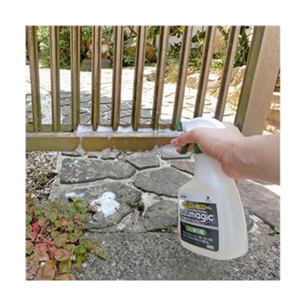 （まとめ）アズマ工業 アズマジック コケ取り剤CH865 400ml 1本〔×10セット〕の画像