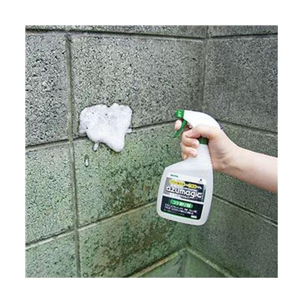 （まとめ）アズマ工業 アズマジック コケ取り剤CH865 400ml 1本〔×10セット〕の画像