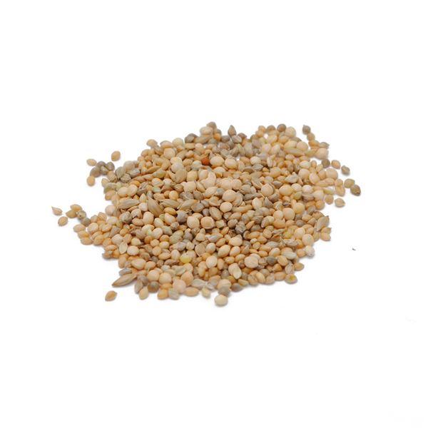 （まとめ）ペットプロ 小鳥のごはん 皮付 1kg〔×12セット〕〔代引不可〕