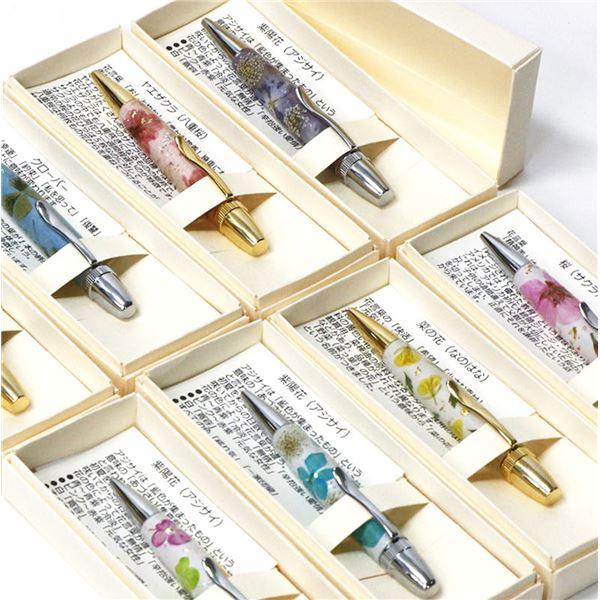 ds-花柄 ボールペン/文房具 〔紫陽花・五色〕 パーカータイプ 芯：0.7mm 日本製 文具 オフィス用品 『Frower Pen』_2