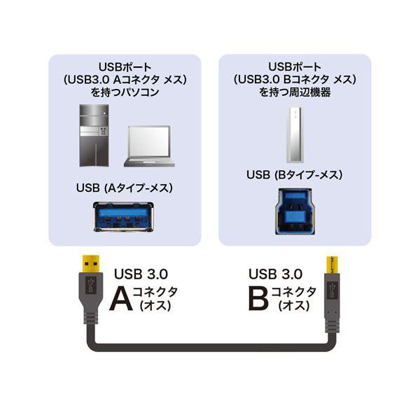 ds-〔5個セット〕 サンワサプライ USB3.0ケーブル 1.5m KU30-15BKKX5_1