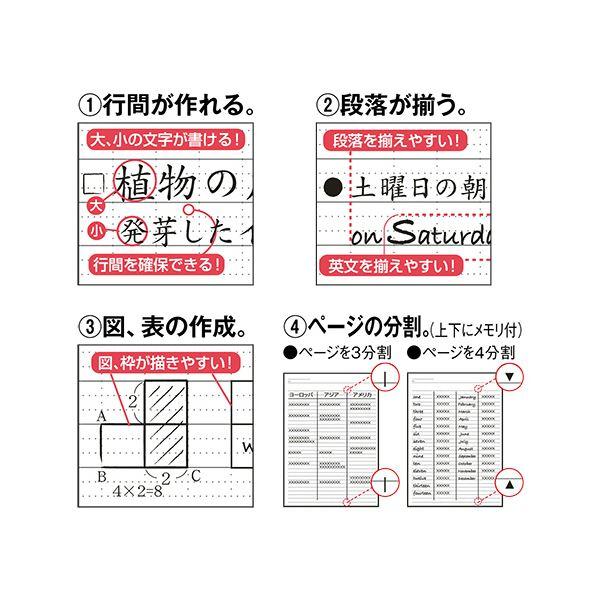 (まとめ）ナカバヤシ ロジカルペーパーリングノート A4 A罫 40枚 NW-A405A 1セット（10冊）〔×10セット〕の画像