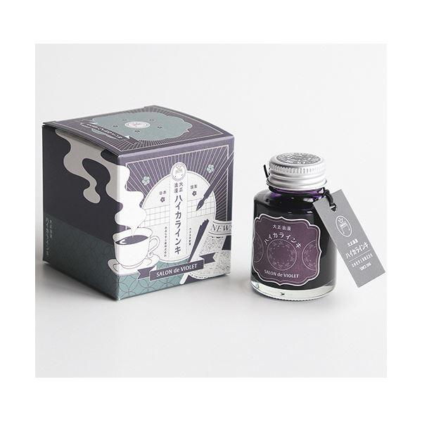 ds-（まとめ） 寺西化学 ギター 大正浪漫ハイカラインキサロンドバイオレット 40ml TRH-40ML-T63 1個 〔×5セット〕_1