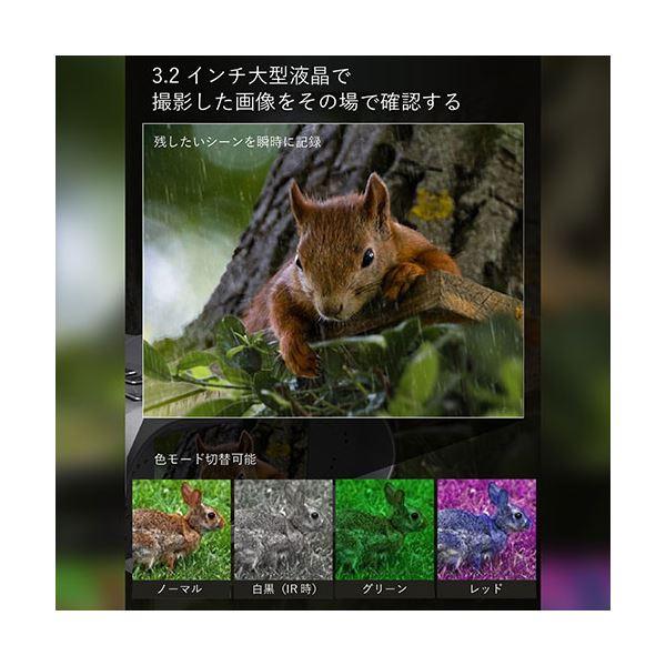ds-M-WORKS 録画機能付きナイトスコープ MW-RNS2K_3