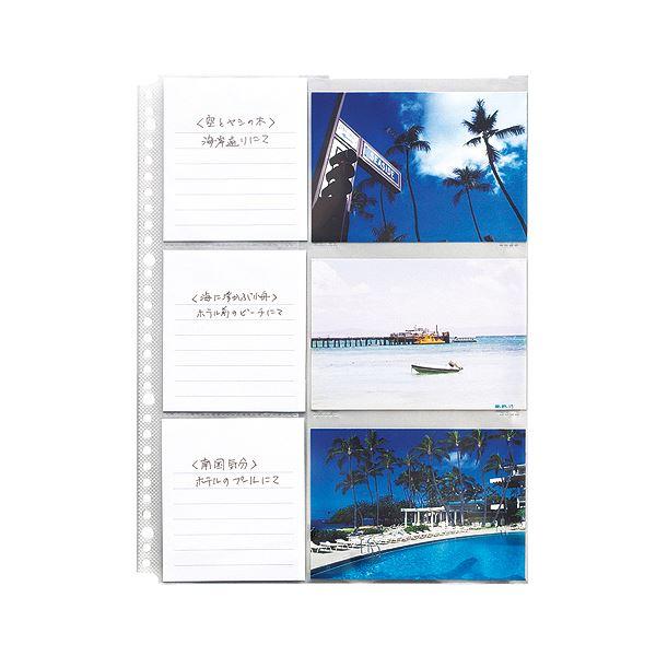 ds-（まとめ） ライオン事務器フォトポケット A4 2・4・30穴 両面6ポケット PH-PT3 1パック（5枚） 〔×10セット〕_1